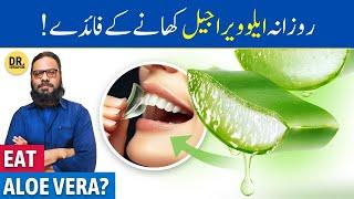 Hardin ALOE VERA GEL Khane Ke Fayde  Eating Aloe Vera Gel Everyday  Dr. Ibrahim