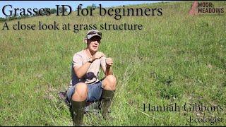 Grasses ID for beginners - A close look at grass structure