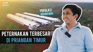 Dari Populasi 2.000 Jadi 400.000 Ekor  Kini Omzet nya 8 MILIAR perbulan 