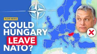 Why Orban Wants to Redefine Hungarys NATO Membership
