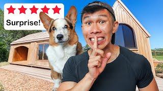 I Surprised my Corgi with AirBNB Dream Vacation