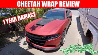 Should you wrap your car with Cheetah wrap? Satin Red Aluminum Review 1 year