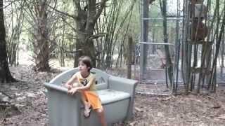 STITCHES White Handed Gibbon Ape Monkey Talking with Young Boy at Florida Sanctuary