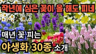 봄에 꽃 피는 야생화 번식이 잘 돼서 매년 꽃을 볼 수 있는 야생화 30종을 소개해 드립니다.