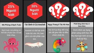 So Sánh Các Thích Nghi Thú Vị Của Động Vật