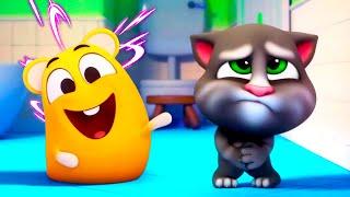 Talking Tom    Talking Tom shorts  LIVE  Super Toons TV Po Polsku