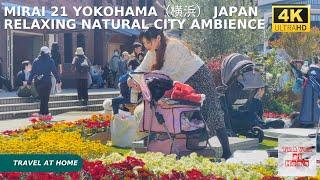 4k hdr japan travel  Walk in Minato Mirai 21 Yokohama（横浜）japan   Relaxing Natural City ambience