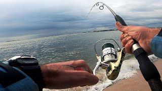 BLUEFISH EXPLOSION - Fine Looking Surf With the Slap Back on Top