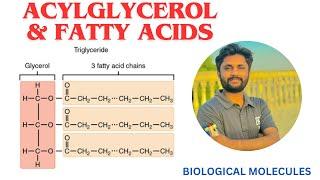 Acylglycerol  Fatty Acids and types Glycerol lecture 2 Lipids in Urdu Hindi