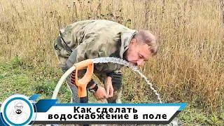 Абиссиним в полях  водоснабжение для участка