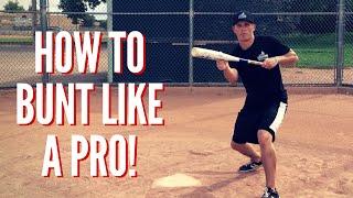 Baseball Bunting Fundamentals Bunt Like A Pro - Baseball Hitting Tips