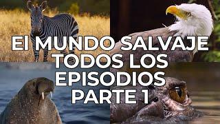 El Mundo Salvaje Todos los Episodios Parte 1  Free Documentary Nature -  Español