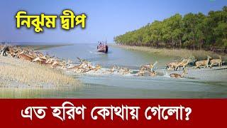 নিঝুম দ্বীপের হরিণ উধাও  এত হরিণ কোথায় গেল? Nijhum dwip  Hatia Island