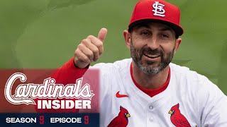 Descalso Back in STL  Cardinals Insider S9 E9  St. Louis Cardinals