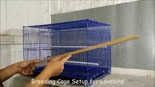 Lovebird Breeding Cage Setup