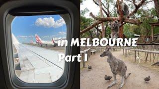 Travel Vlog  澳洲墨爾本 MELBOURNE VIC Australia part 1 ⎮ 抵達，初次遇見袋鼠無尾熊