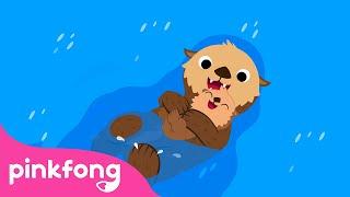 Berang-berang Laut  Series Binatang Laut  Lagu Anak pendidikan  Pinkfong & Baby Shark