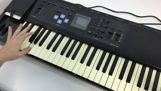 Casio FZ-1