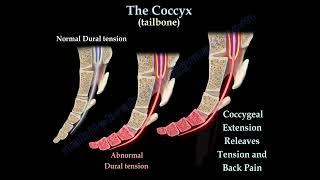 Coccydynia  coccyx pain  coccyx pain causes diagnosis and treatment