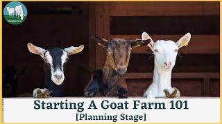 How To Start A Goat Farm In Ghana  Planning Stage