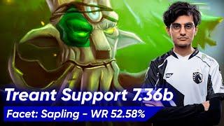 Insania TREANT PROTECTOR 7.36 HARD SUPPORT  Dota 2 Pro Gameplay