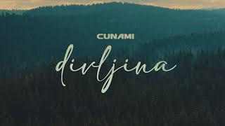 Cunami - Divljina