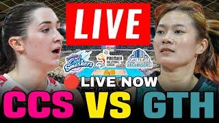 CREAMLINE VS. GALLERIES LIVE NOW AUGUST 3 2024 PVL REINFORCED CONFERENCE 2024 #pvl2024 #creamline