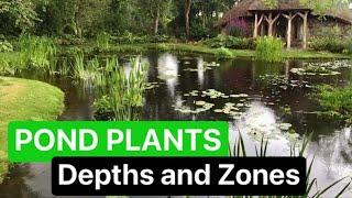 How deep should plants be in a pond?