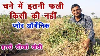 ऑर्गेनिक चने की सबसे ज्यादा पैदावार इनसे सीखो खेती Real Organic Expert  Technical Farming