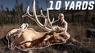 Wyoming Bull Elk With A Bow Public Land