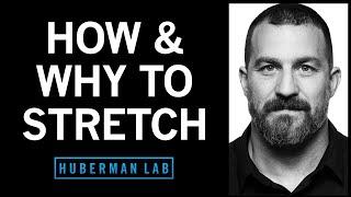 Improve Flexibility with Research-Supported Stretching Protocols  Huberman Lab Podcast #76