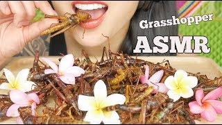 ASMR FRIED GRASSHOPPER ตั๊กแตนทอด CRUNCHY EATING SOUNDS SAVAGE EXOTIC FOOD  SAS-ASMR