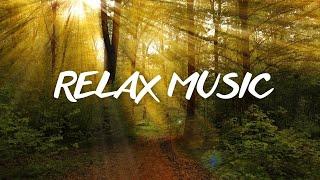 MUSIC FOR RELAX. Meditation Music Sleep Music Ambient Study Music