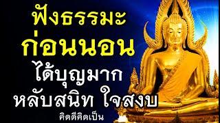 ฟังธรรมะก่อนนอน 1 จงเป็นคนดี ห่างไกลคนไม่ดี ได้บุญมาก ได้ข้อคิดดีๆ