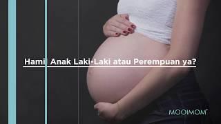 MOOIMOM Mamapedia Cara Menebak Hamil Anak Laki-laki atau Perempuan