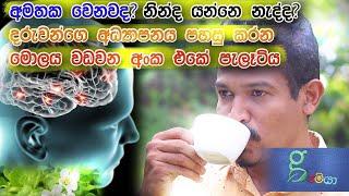 ඔබටත් අමතක වෙනවද ? මොලය වඩවන හොදම පැලෑටිය