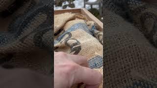 Checking swarm catches after Blizzard conditions Subscribe for help swarm catching & beekeeping TY