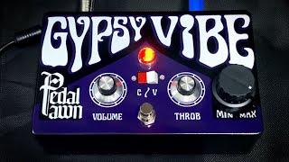 Pedal Pawn GYPSY VIBE ™ Official Demo