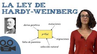 La ley de Hardy-Weinberg