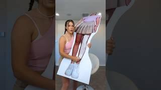 Waxing Cardboard Cutout