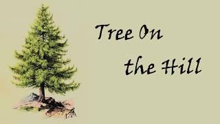 Tree On The Hill Lyric Video  The Lightning Thief The Percy Jackson Musical