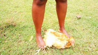 Woman Slaughter Chicken with Barefoot by the River