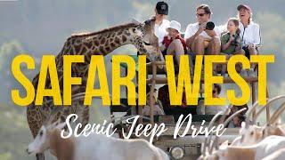 What Awaits You at  Safari West? Santa Rosa California