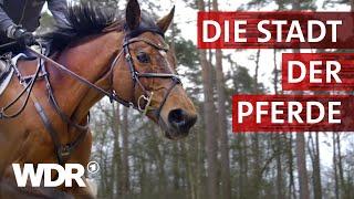 Warendorf - Ruhmreiche Pferdestadt  Heimatflimmern  WDR