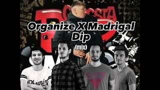 Organize X Madrigal - Dip hip-hop mix edition