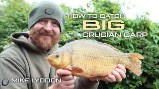 How To Catch Big Crucian Carp  Mike Lyddon  Coarse Fishing
