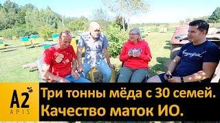 30 семей = 3 т. меда На что способны матки ИО #карника?