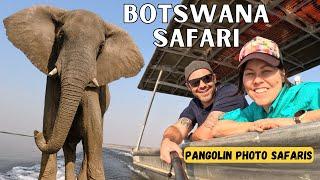 AFRICAN SAFARI WILDLIFE PHOTOGRAPHY Tips with Pangolin Photo Safaris in Chobe Botswana