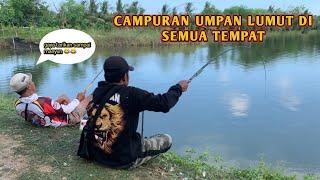 CAMPURAN UMPAN LUMUT MANCING IKAN NILA DI SEMUA TEMPAT