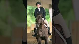 A fantastic horse show weekend for Vino First Impression#horse #equestrian